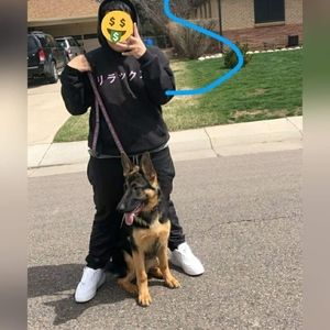 Meet your Posher, Ramon